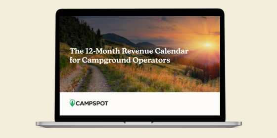 The 12 Month Revenue Calendar on Computer The 12 Month Revenue Calendar on Computer